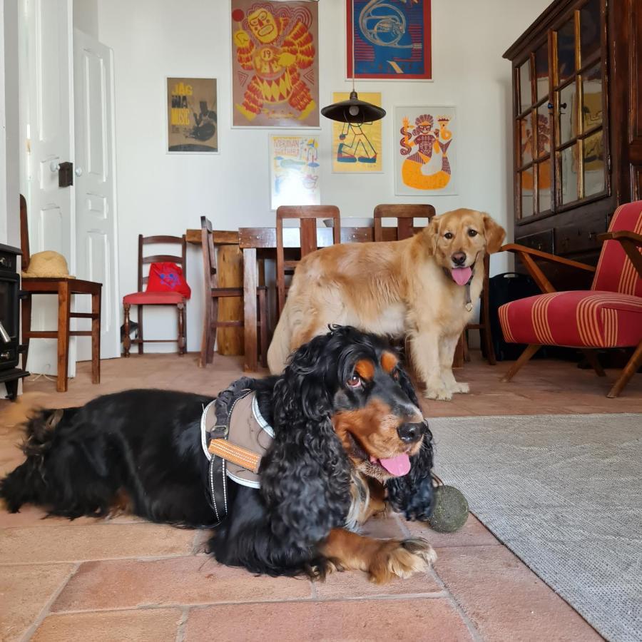 Casa Magana Em Grandola Villa Eksteriør billede